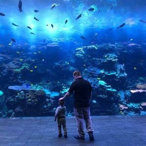 Meet your Posher, Adam